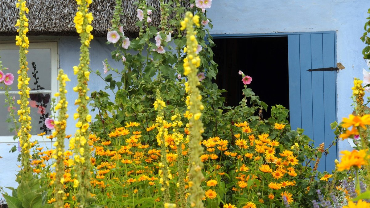 Encouraging Wildlife into a Small Town Garden