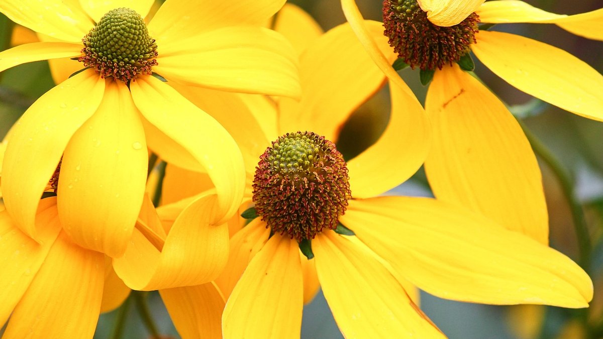 Starting a Simple Knitting Project for Beginners